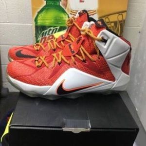 Lebron 12 "heart of lion"